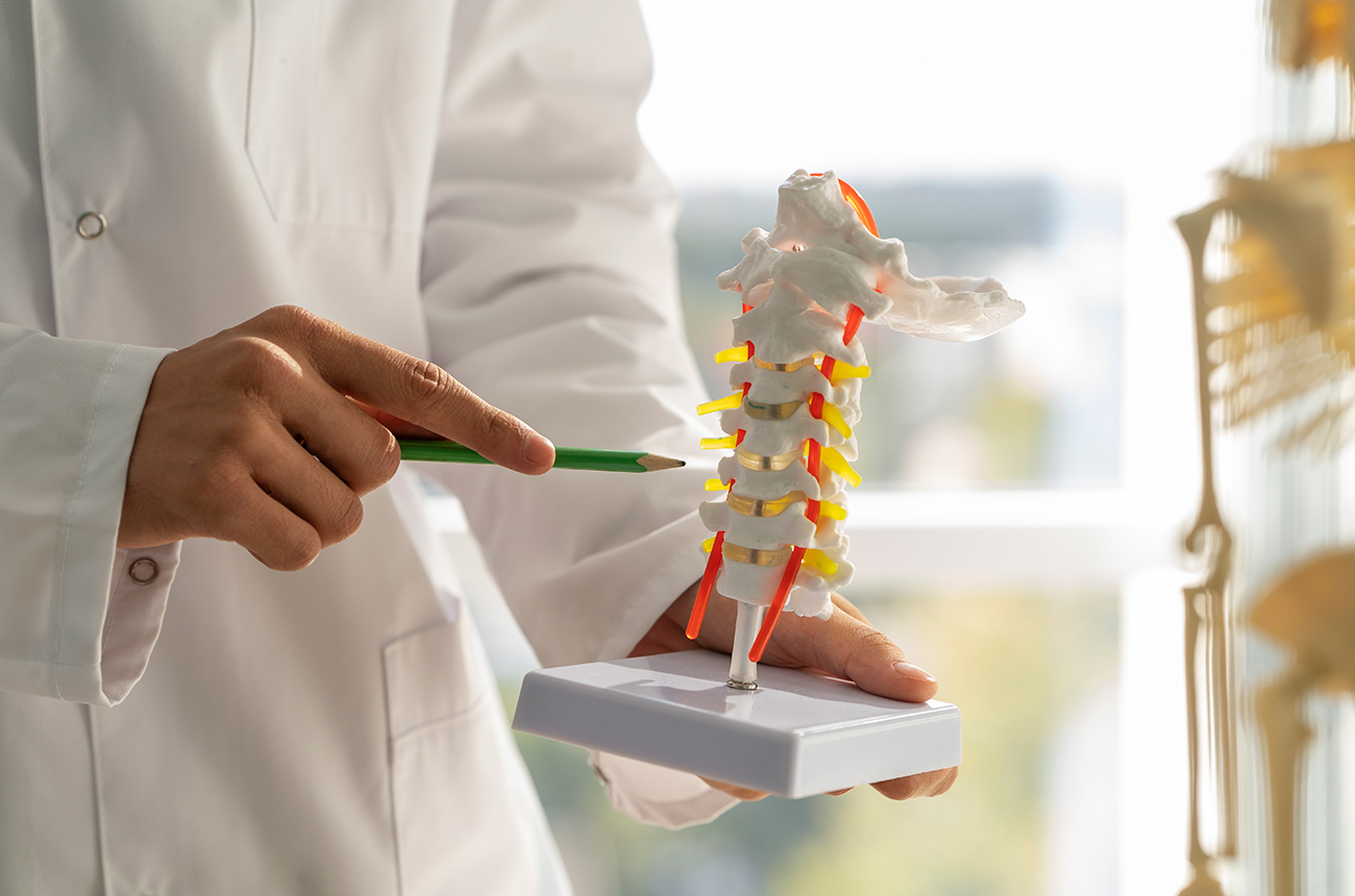 Herniated Disc: Healing Stages And Timeline (Part 2)